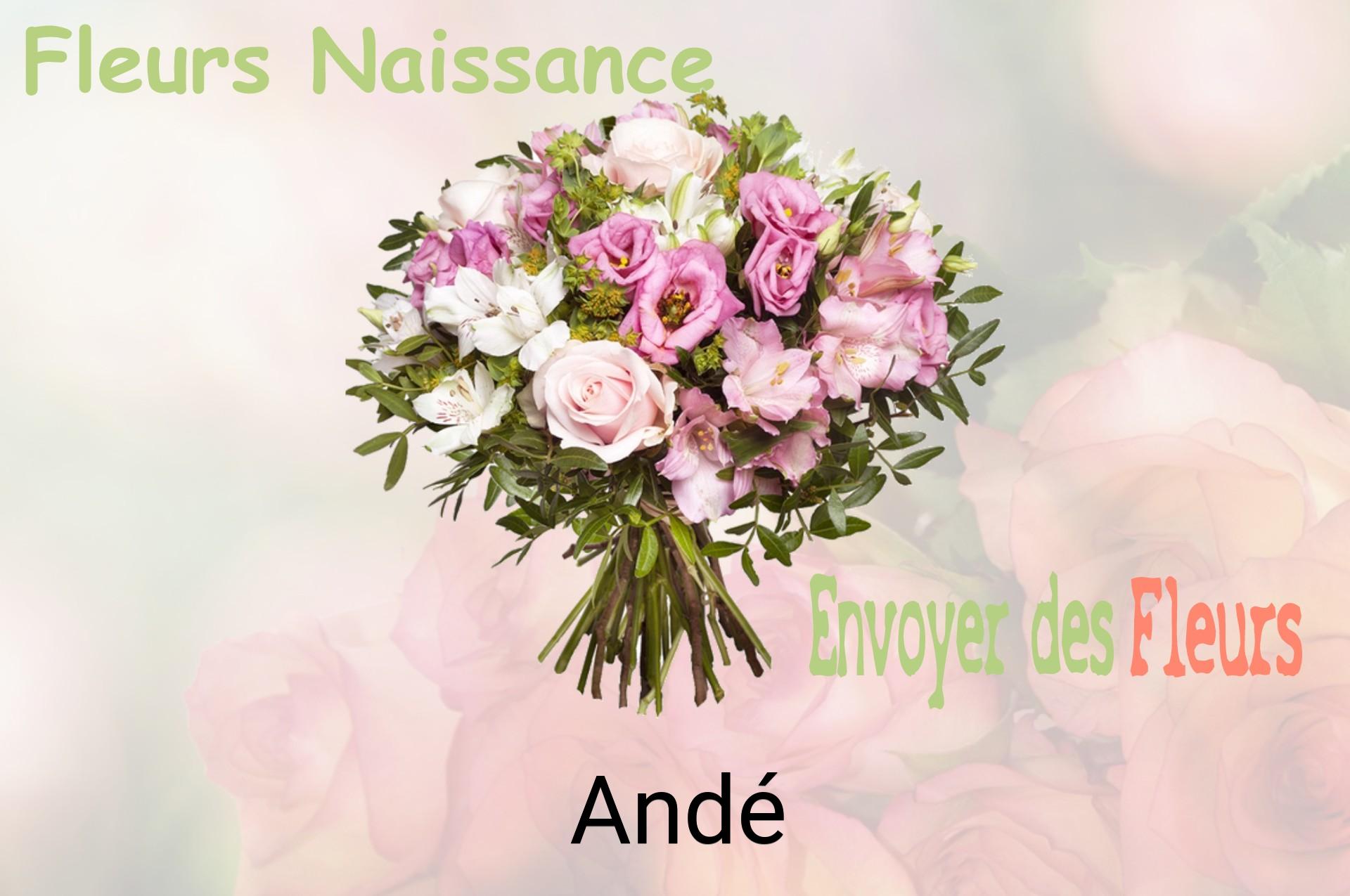 Bouquet de fleurs de naissance livré à Andé
